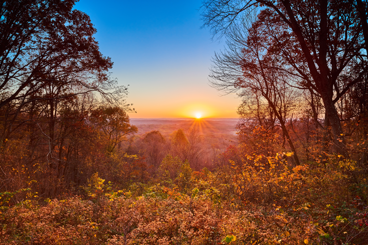 Cincinnati Road Trips